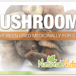 Medicinal Mushrooms