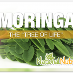 Moringa Oleifera Supplements: Benefits & Uses