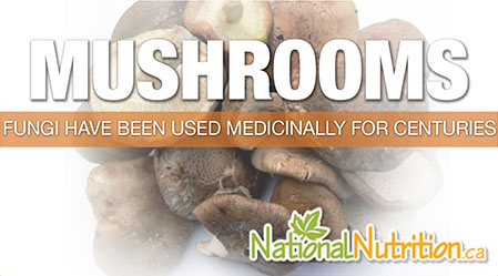 2015/01/Medicinal_Mushrooms_Health_Benefits.jpg