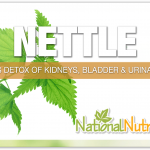 Nettle Supplement Uses & Benefits