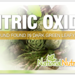 Nitric Oxide Benefits, Uses & Supplement Options