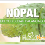 Nopal: A Nutritious Cacti