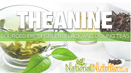 2015/01/Natural_Health_benefits_of_theanine.jpg