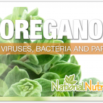 Oregano: Uses Beyond The Kitchen