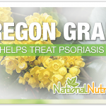 Oregon Grape