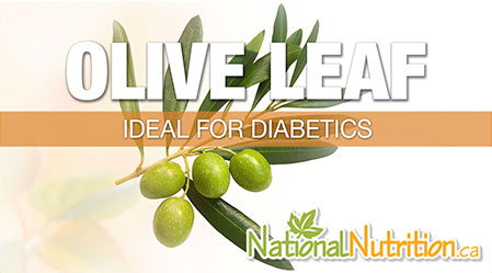 2015/01/Olive_Leaf_Diabetes_Health_Benefits.jpg