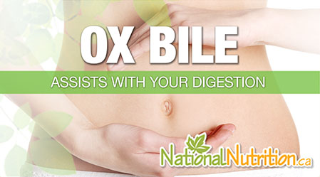 2015/01/Ox_Bile_Digestion_Health_Benefits.jpg