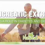 What Is Pancreatic Extract?