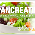 Pancreatin