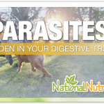 Parasites of the Digestive Tract