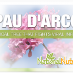 Pau D Arco