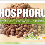 Phosphorus: A Mineral For Bone & Muscle Health