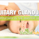 Pituitary Glandular & Extracts