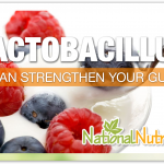 Probiotic Lactobacillus
