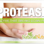 Protease: Discover How It Supports Health