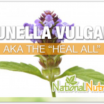 What Is Prunella Vulgaris?