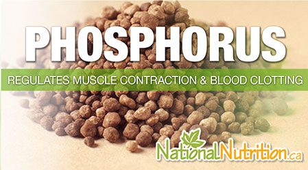 2015/01/Phosphorus_Health_Benefits.jpg