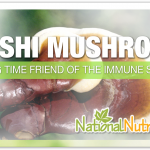 Reishi Mushroom