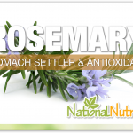 Rosemary, More Than A Spice