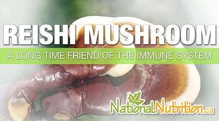 2015/01/Reishi_Mushroom_Medicinal_Benefits.jpg
