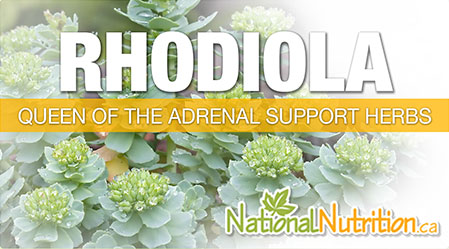2015/01/Rhodiola_Rosea_Adrenal_Benefits.jpg