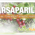 Sarsaparilla (Smilax)