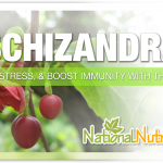 Schisandra