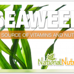 Seaweed: A Nutrient Packed Algae