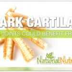 Shark Cartilage