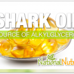 Shark Oil