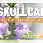 Scutellaria Lateriflora (Skullcap)