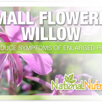 Small-Flowered Willow Herb Supplements