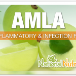 Amla: An Antioxidant For Overall Well-Being