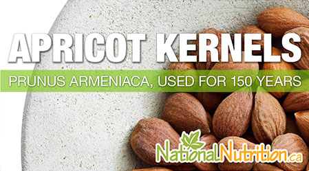2015/01/SUP_APRICOT-KERNEL.jpg