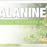 Alanine: A Nutrient For Muscle Recovery