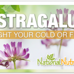 Astragalus: A Natural Immune Booster