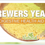 Brewer's Yeast