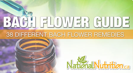 2015/01/SUP_BachFlowerGUIDE.jpg