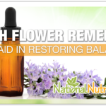 Bach Flower Remedies: An Introduction