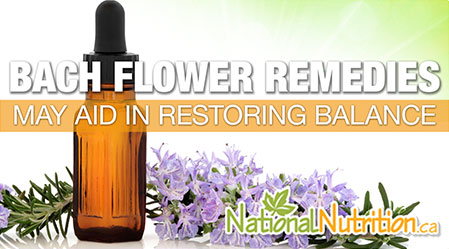 2015/01/SUP_BachFlowerRemedies.jpg