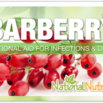 Barberry For UTI & Digestive Health