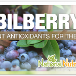Bilberry Extract Supplement Review