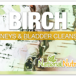 Birch Tree Bark: Discover Its Health Benefits