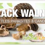 Black Walnut: Explore It Medicinal Properties
