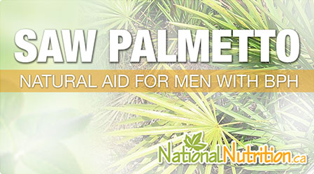 2015/01/Saw_Palmetto_Prostate_Health_Benefits.jpg