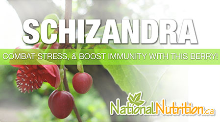 2015/01/Schizandra_Mood_Stress_health.jpg