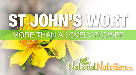 2015/01/StJohnsWort_Depression_Health_Benefits.jpg