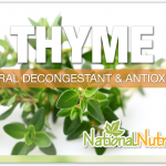 Thyme: A Timeless Herb