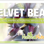 Velvet Bean