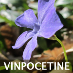 Vinpocetine - Supplements, Benefits, Uses & Dosage